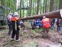 Maibaum_2018 (39)